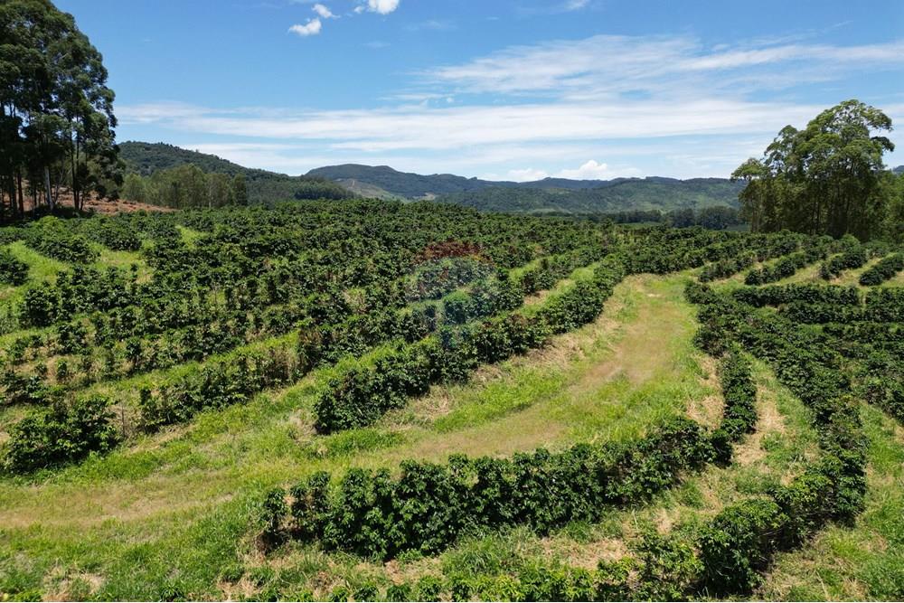 Chácara / Sítio / Fazenda - Venda - São Sebastião da Grama , São Paulo - DJI_0731.JPG - 870361041-98