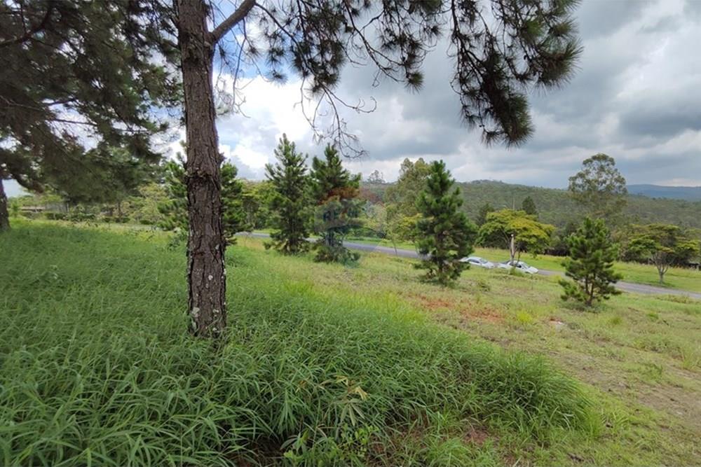 Terreno - Venda - Nova Lima , Minas Gerais - IMG_20250128_114758.jpg - 870421014-287