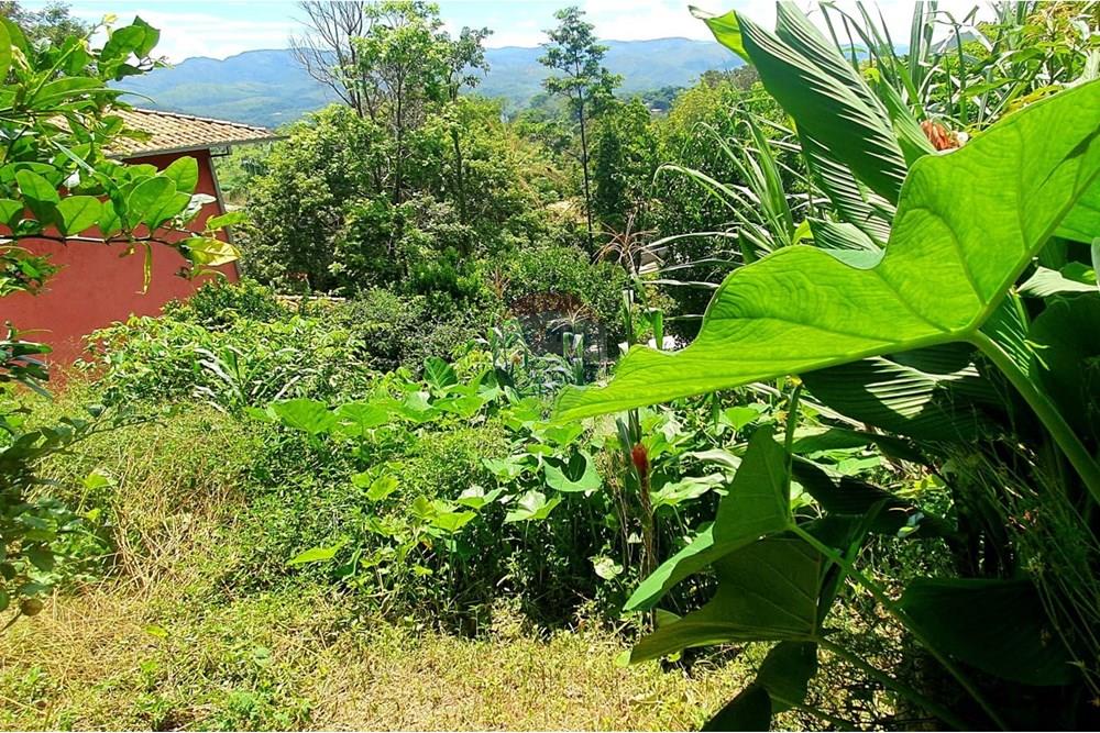 Terreno - Venda - Nova Lima , Minas Gerais - foto Lote vista das plantações.jpg - 870241097-28