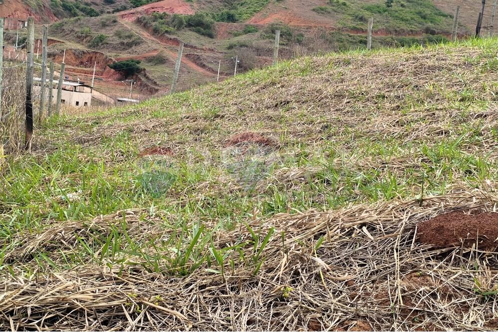 Terreno - Venda - Ipanema , Minas Gerais - 6_image_6_watermark_seg._03112025_103618.jpg - 870451004-108
