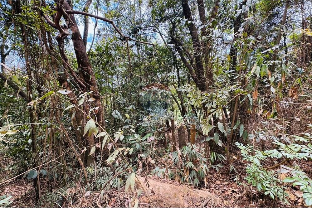 Chácara / Sítio / Fazenda - Venda - Caeté , Minas Gerais - IMG-20251030-WA0333.jpg - 870421116-90