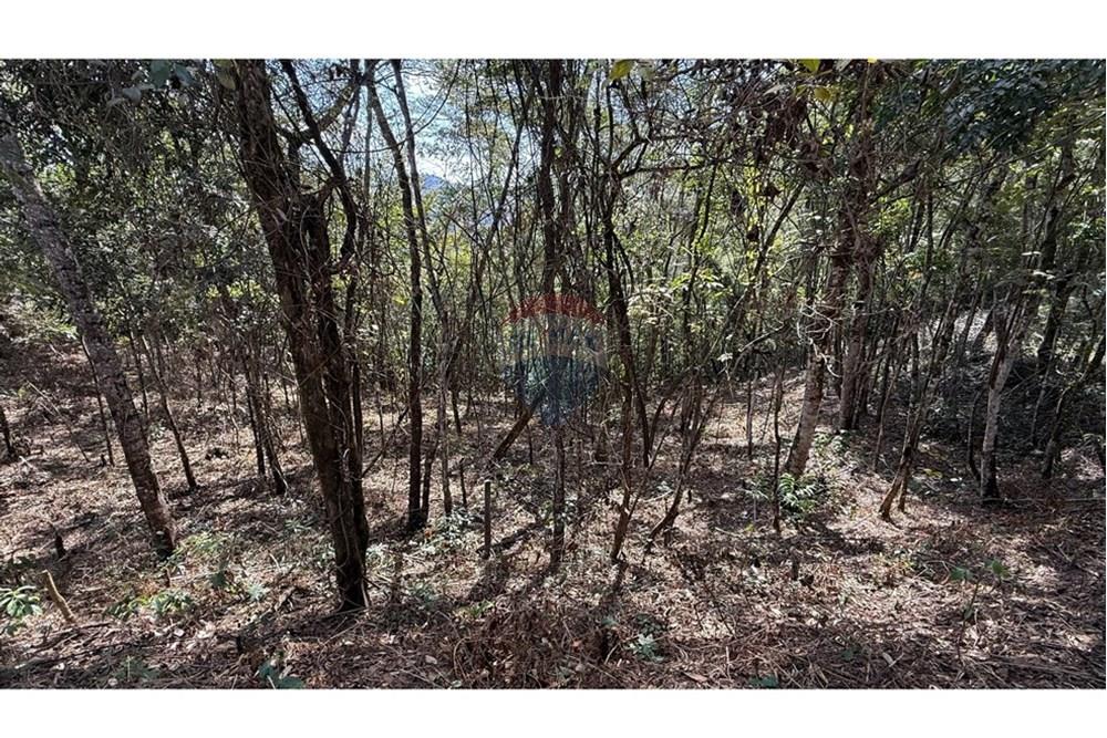 Terreno - Venda - Nova Lima , Minas Gerais - IMG_1415.jpg - 870351059-18