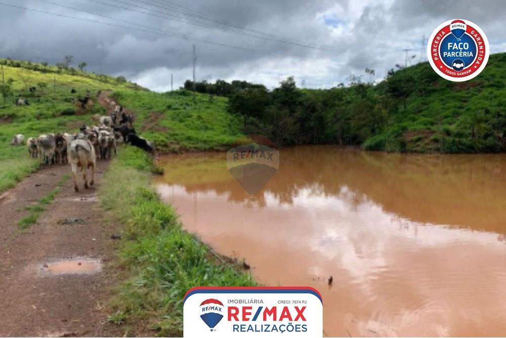 Chácara / Sítio / Fazenda - Venda - Patos de Minas , Minas Gerais - 6.jpg - 870631011-31