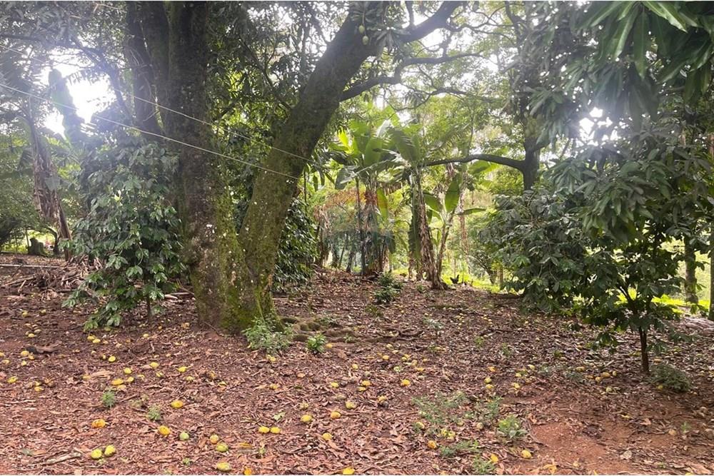 Chácara / Sítio / Fazenda - Venda - Araxá , Minas Gerais - IMG-20241202-WA0017.jpg - 870431045-24