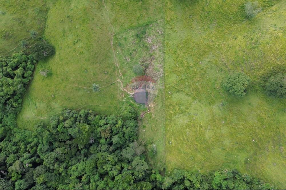 Chácara / Sítio / Fazenda - Venda - Araxá , Minas Gerais - 05.JPG - 870431045-37