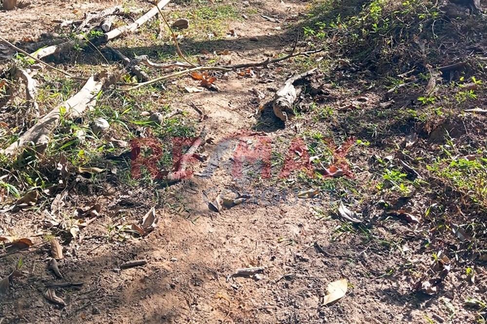 Chácara / Sítio / Fazenda - Venda - Ipanema , Minas Gerais - 9_image_9_watermark_seg._15092025_150715.jpg - 870451013-72