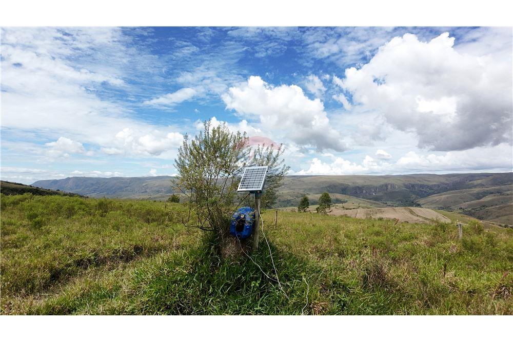 Fazenda - Venda - São Roque de Minas , Minas Gerais - 9 - 870431039-46