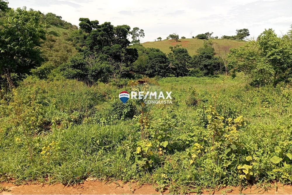 Chácara / Sítio / Fazenda - Venda - Pocrane , Minas Gerais - 2_IMG_20241203_081913_watermark_sex._13122024_135042.jpg - 870451001-114