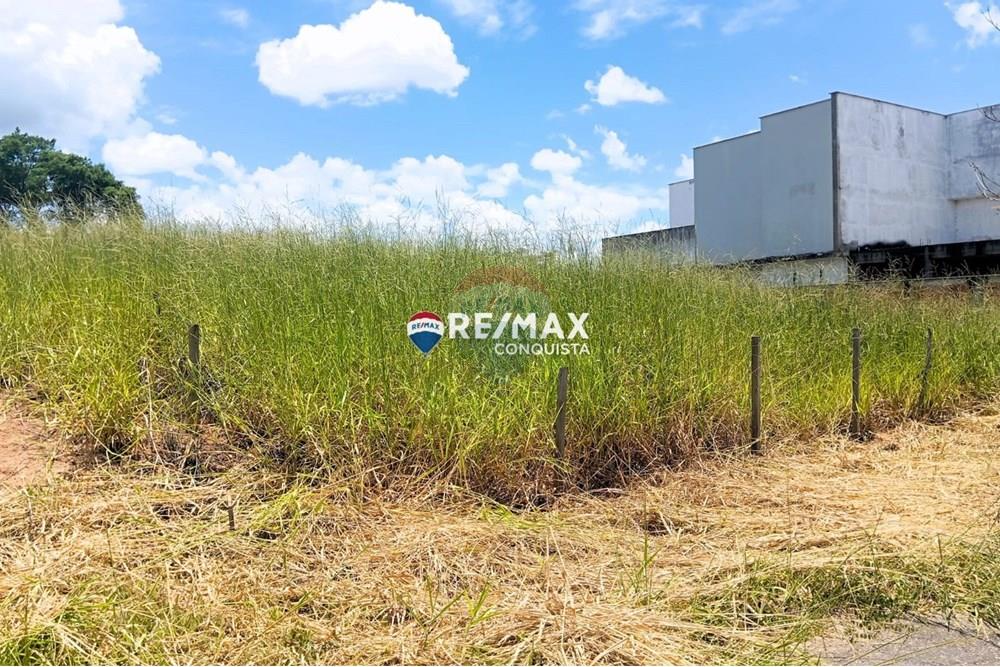 Chácara / Sítio / Fazenda - Venda - Ipanema , Minas Gerais - WhatsApp Image 2025-02-19 at 16.28.35.jpeg - 870451013-54