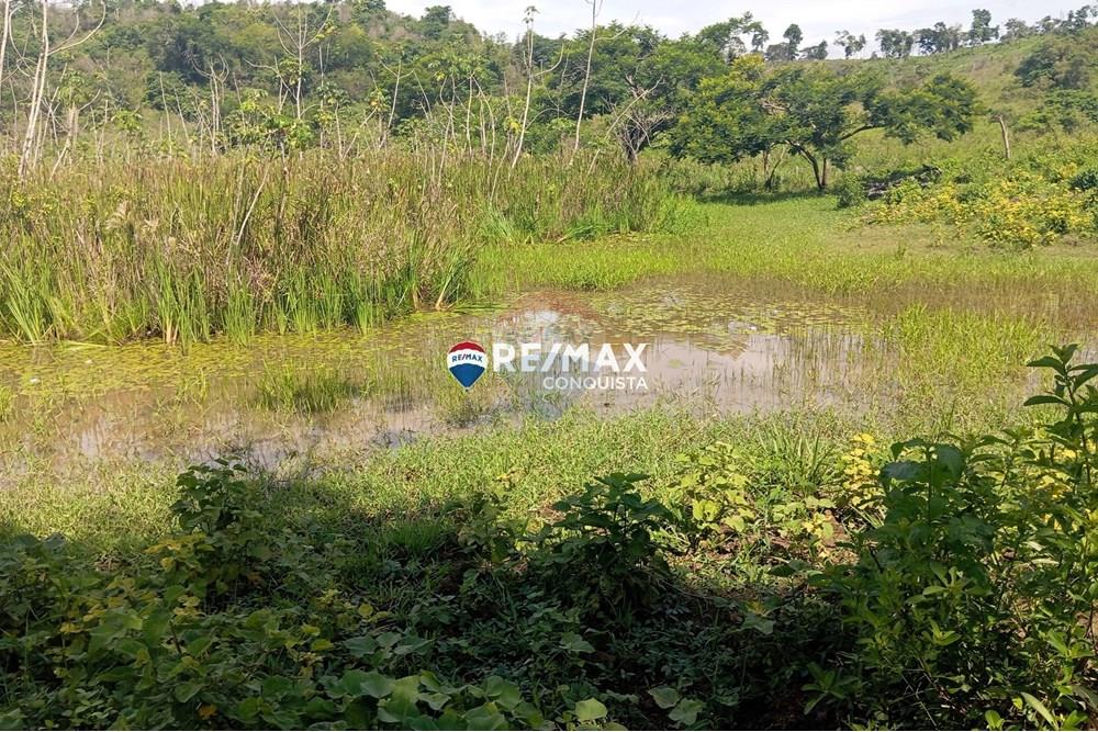 Chácara / Sítio / Fazenda - Venda - Pocrane , Minas Gerais - 5_IMG_20241203_091113_watermark_sex._13122024_135232.jpg - 870451001-114