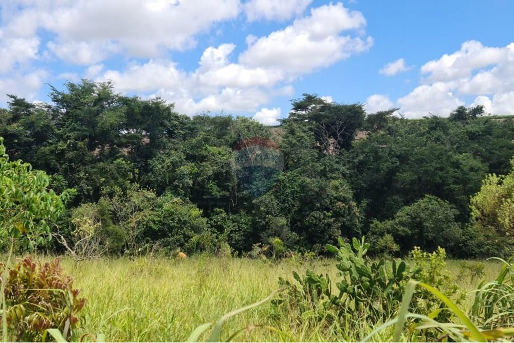 Chácara / Sítio / Fazenda - Venda - Araxá , Minas Gerais - Antônio Edson de Oliveira Júnior foto 1.jpg - 870431004-104