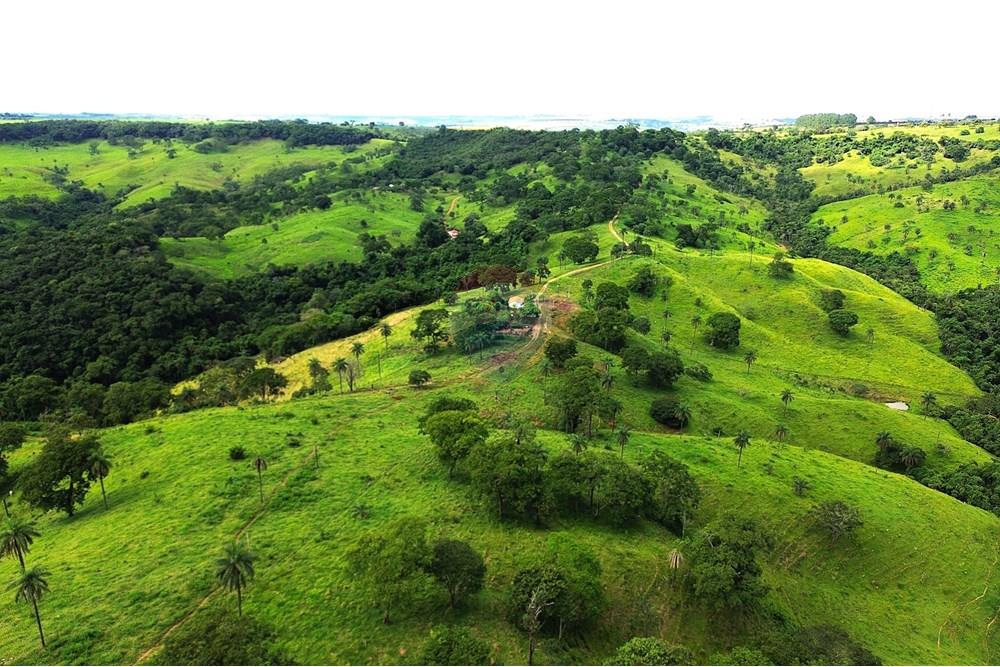 Chácara / Sítio / Fazenda - Venda - Araxá , Minas Gerais - 07.JPG - 870431045-37