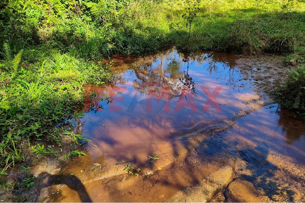Chácara / Sítio / Fazenda - Venda - Ipanema , Minas Gerais - 3_image_3_watermark_seg._15092025_150755.jpg - 870451013-72