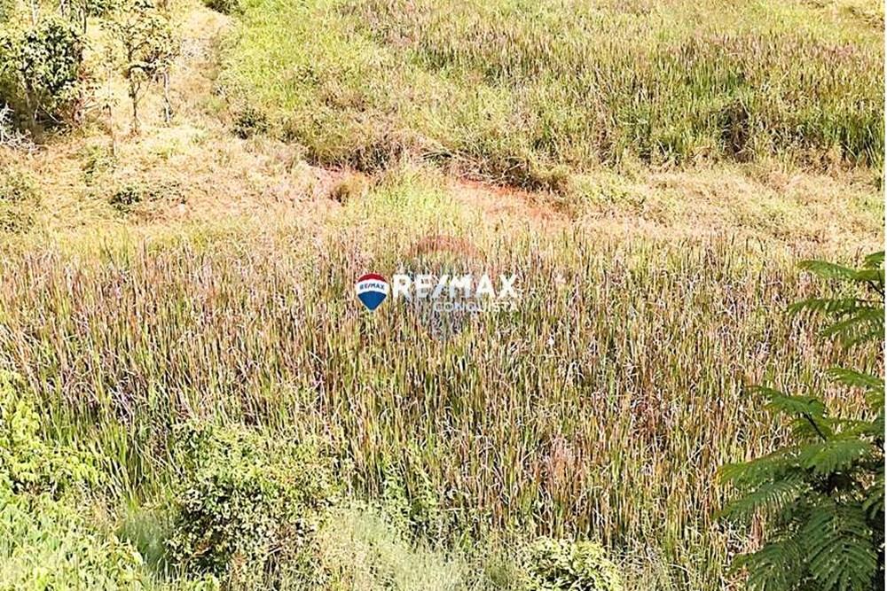 Chácara / Sítio / Fazenda - Venda - Ipanema , Minas Gerais - 0_IMG_20240515_093318_watermark_dom._23062024_100702.jpg - 870451001-121