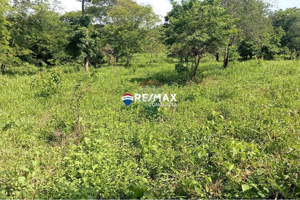 Chácara / Sítio / Fazenda - Venda - Pocrane , Minas Gerais - 5_IMG_20241203_085631_watermark_sex._13122024_135835.jpg - 870451001-114