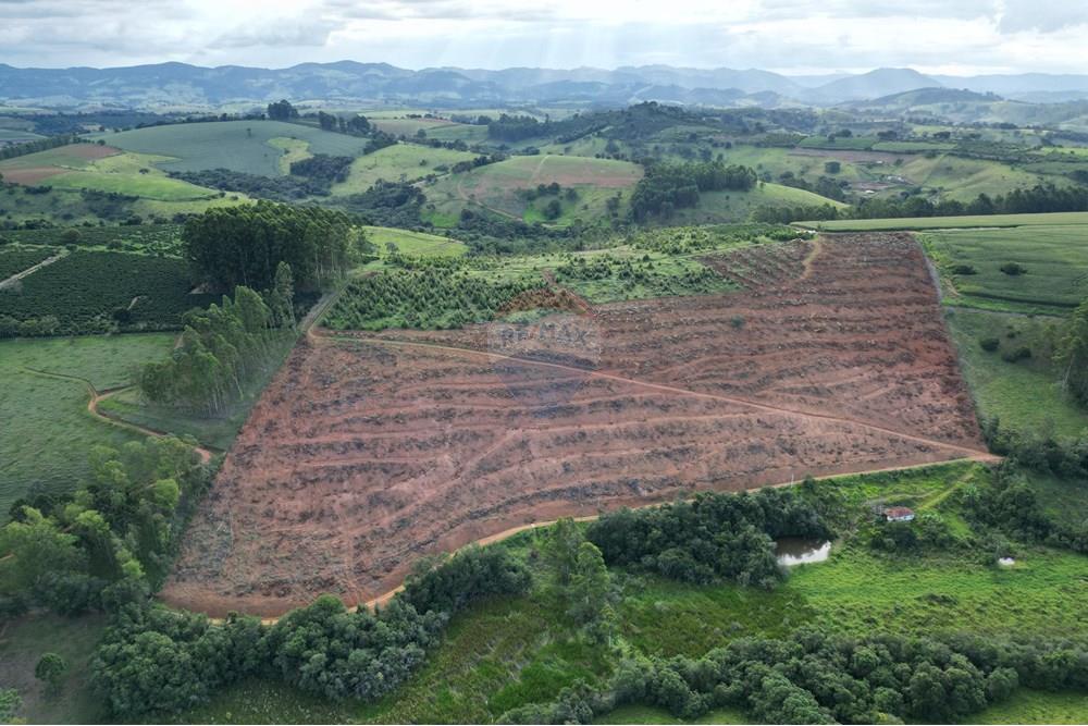Fazenda - Venda - Bandeira do Sul , Minas Gerais - DJI_0833.JPG - 870361041-103