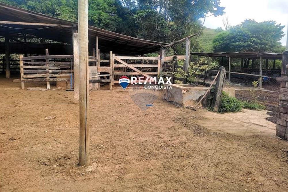 Chácara / Sítio / Fazenda - Venda - Ipanema , Minas Gerais - 2_IMG_20240515_082012_watermark_dom._23062024_100051.jpg - 870451001-121