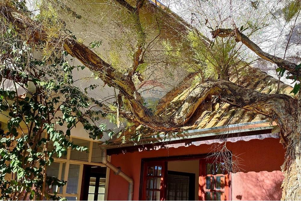 Casa - Venda - Poços de Caldas , Minas Gerais - WhatsApp Image 2025-08-08 at 14.22.20 (2).jpeg - 870361004-113