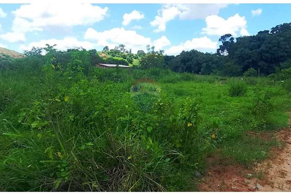 Chácara / Sítio / Fazenda - Venda - Alpercata , Minas Gerais - WhatsApp Image 2024-02-27 at 11.49.08.jpeg - 870671001-154