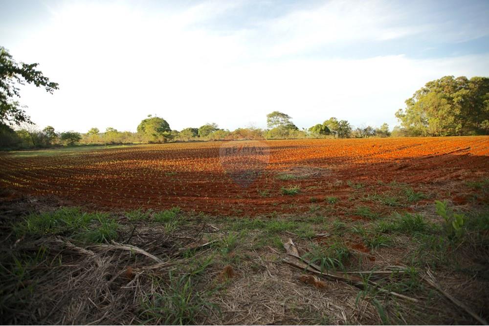 Chácara / Sítio / Fazenda - Venda - Araxá , Minas Gerais - IMG_2499.JPG - 870431039-25