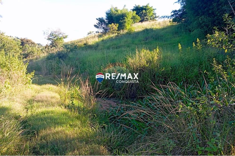 Chácara / Sítio / Fazenda - Venda - Pocrane , Minas Gerais - WhatsApp Image 2025-04-08 at 09.40.28.jpeg - 870451001-124