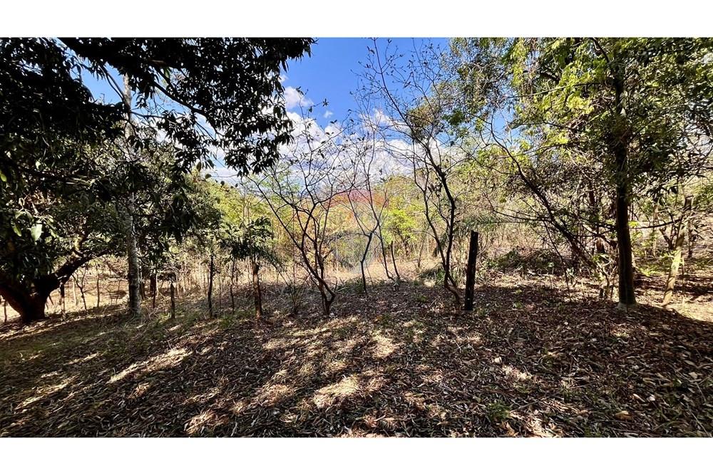 Terreno - Venda - Nova Lima , Minas Gerais - WhatsApp Image 2025-10-23 at 11.17.23 (2).jpeg - 870351032-22