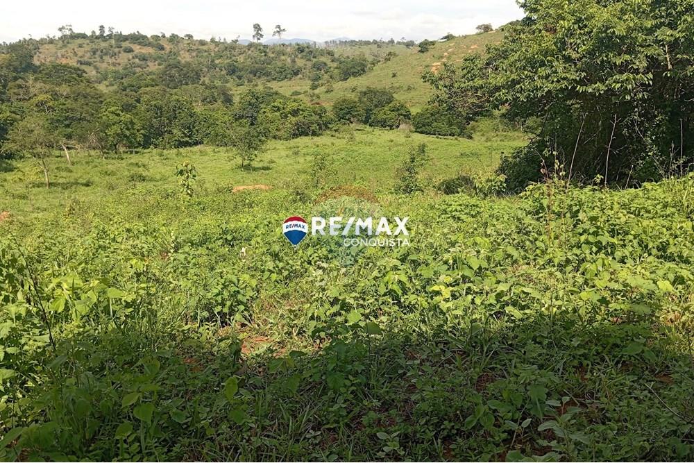 Chácara / Sítio / Fazenda - Venda - Pocrane , Minas Gerais - 0_IMG_20241203_085025_watermark_sex._13122024_135944.jpg - 870451001-114