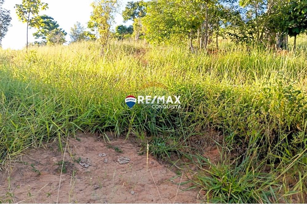 Chácara / Sítio / Fazenda - Venda - Pocrane , Minas Gerais - WhatsApp Image 2025-04-08 at 09.45.11(2).jpeg - 870451001-124