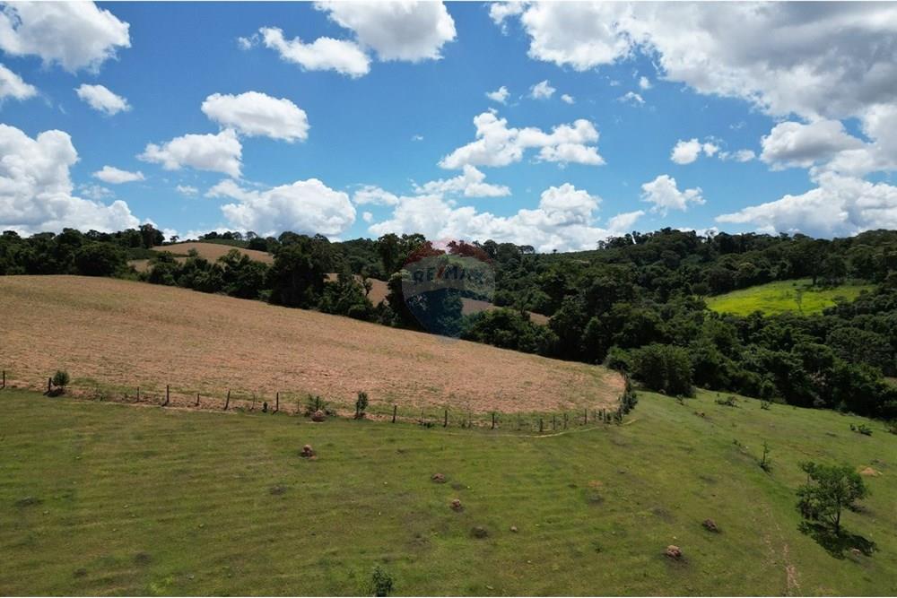 Chácara / Sítio / Fazenda - Venda - Botelhos , Minas Gerais - WhatsApp Image 2025-07-09 at 15.43.43.jpeg - 870361041-116