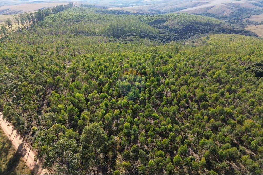 Chácara / Sítio / Fazenda - Venda - Araxá , Minas Gerais - 03.JPG - 870431045-49
