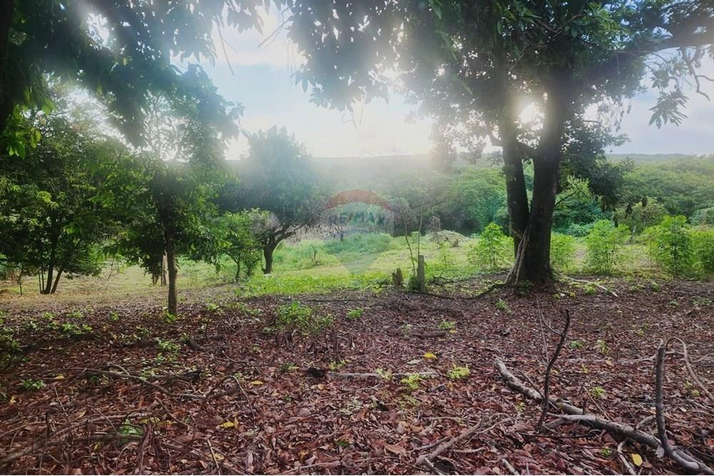 Terreno - Venda - Matozinhos , Minas Gerais - lote mtz01 (1).jpeg - 870241024-58