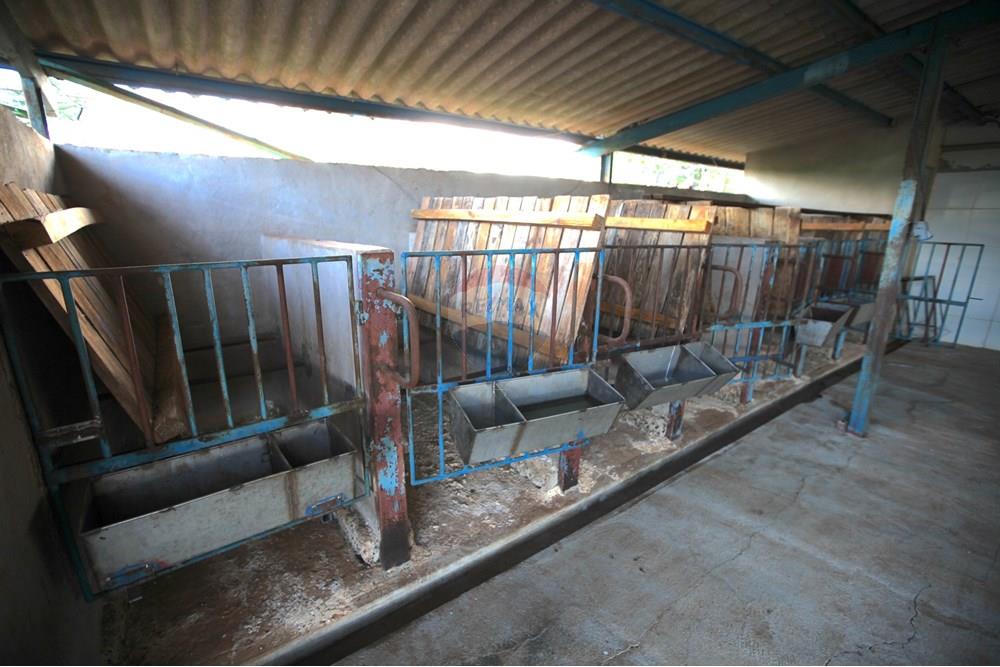 Chácara / Sítio / Fazenda - Venda - Araxá , Minas Gerais - IMG_2450.JPG - 870431039-25