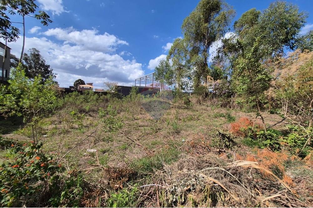 Terreno - Venda - Nova Lima , Minas Gerais - Foto 13.jpeg - 870421061-61