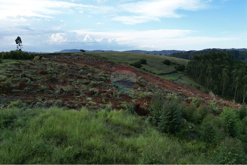 Fazenda - Venda - Bandeira do Sul , Minas Gerais - DJI_0864.JPG - 870361041-103