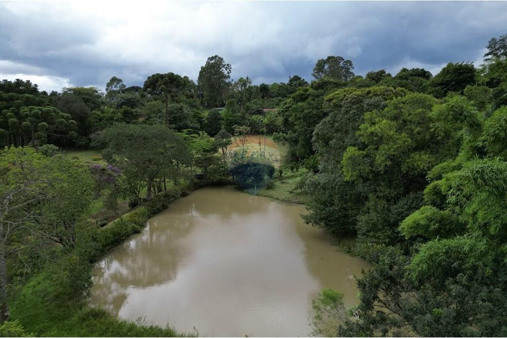 Chácara / Sítio / Fazenda - Venda - Poços de Caldas , Minas Gerais - WhatsApp Image 2025-07-23 at 18.35.06.jpeg - 870361041-117