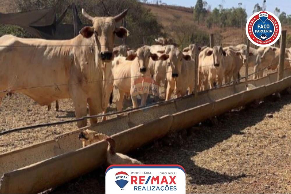 Chácara / Sítio / Fazenda - Venda - Patos de Minas , Minas Gerais - 27.jpg - 870631011-31