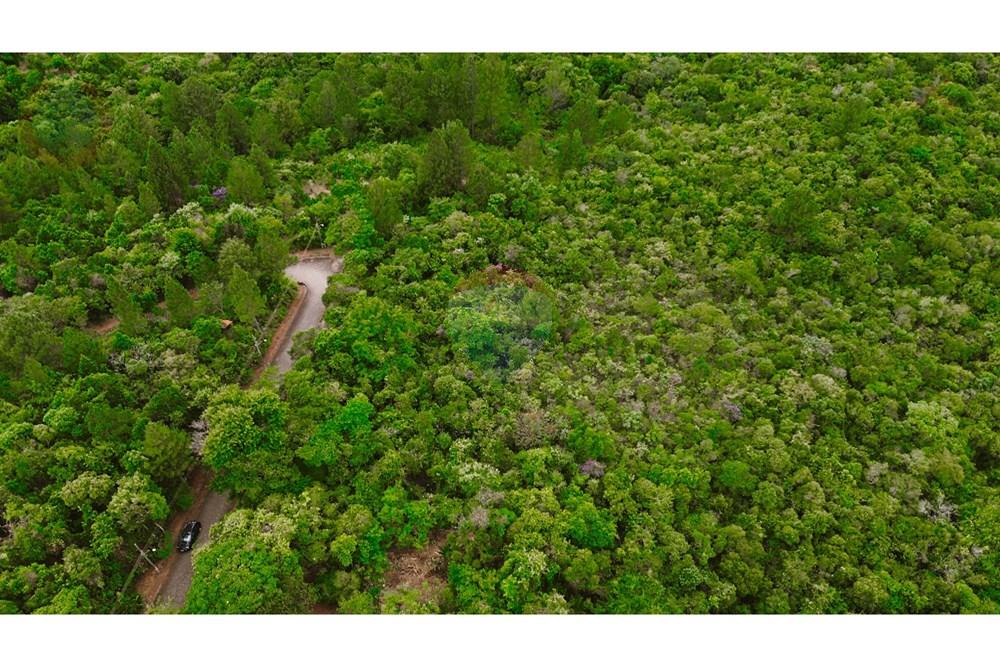 Terreno - Venda - Brumadinho , Minas Gerais - 1.jpg - 870241100-81