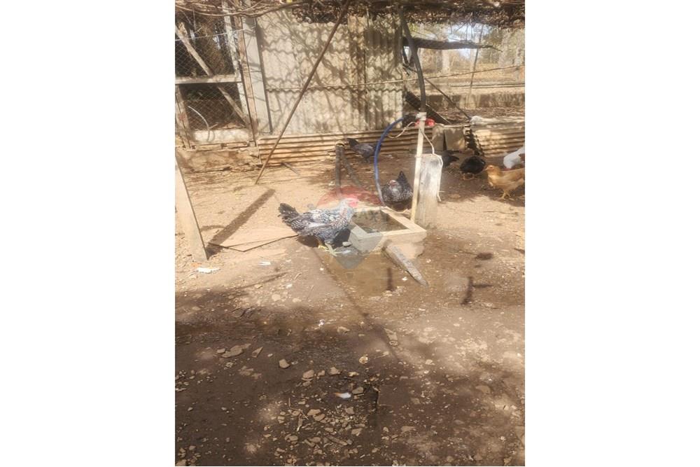 Chácara / Sítio / Fazenda - Venda - Uberaba , Minas Gerais - 18 Sítio Venda 690 mil com 20.300m² em Rio Claro, próximo a Uberaba na Remax 870291025-102.jpg - 870291025-102