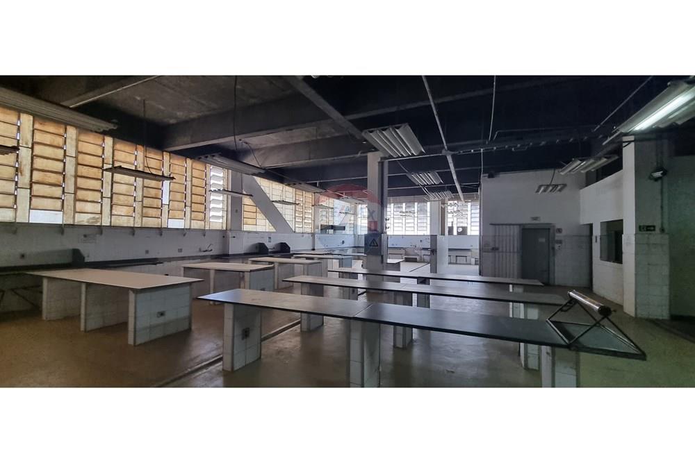 Ponto Comercial/ Loja - Alugar - Belo Horizonte , Minas Gerais - 20240911_101414.jpg - 870251062-79