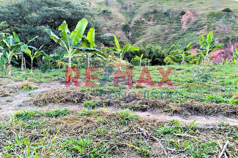 Chácara / Sítio / Fazenda - Venda - Conceição de Ipanema , Minas Gerais - 2_image_2_watermark_seg._01092025_205400.jpg - 870451001-144