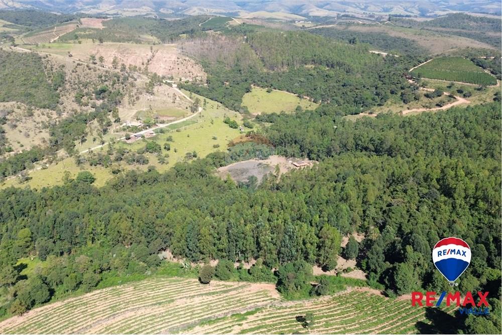 Chácara / Sítio / Fazenda - Venda - São Roque de Minas , Minas Gerais - 763a70f8-fe27-4412-9b71-05ac344be471.jpg - 870731003-7