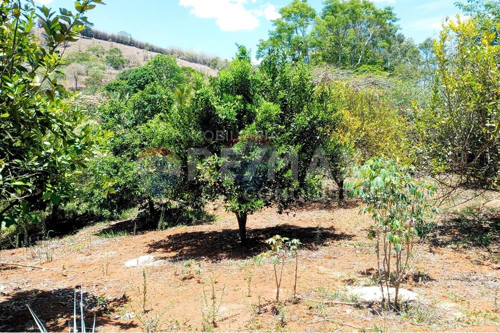 Chácara / Sítio / Fazenda - Venda - Ipanema , Minas Gerais - 9_image_9_watermark_qua._29102025_111913.jpg - 870451004-107