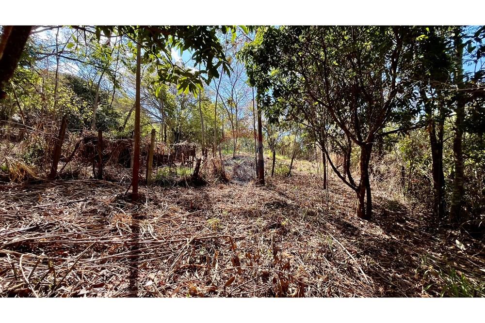 Terreno - Venda - Nova Lima , Minas Gerais - WhatsApp Image 2025-10-23 at 11.25.16.jpeg - 870351032-22
