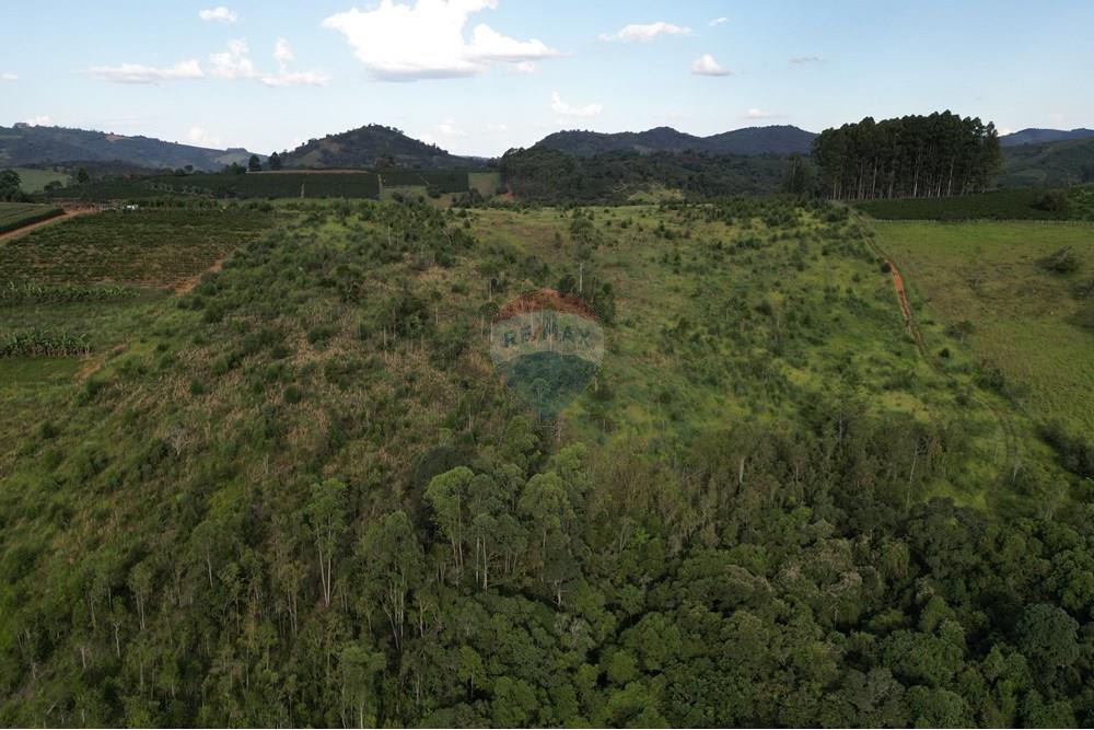 Fazenda - Venda - Bandeira do Sul , Minas Gerais - DJI_0828.JPG - 870361041-103