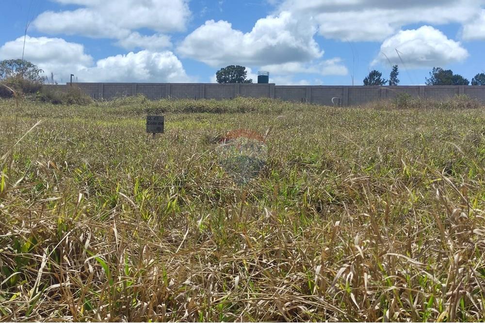 Terreno - Venda - Nova Lima , Minas Gerais - 20fe1737-3e6f-4f52-9a0b-6fbe00572a6d.jpeg - 870421035-82