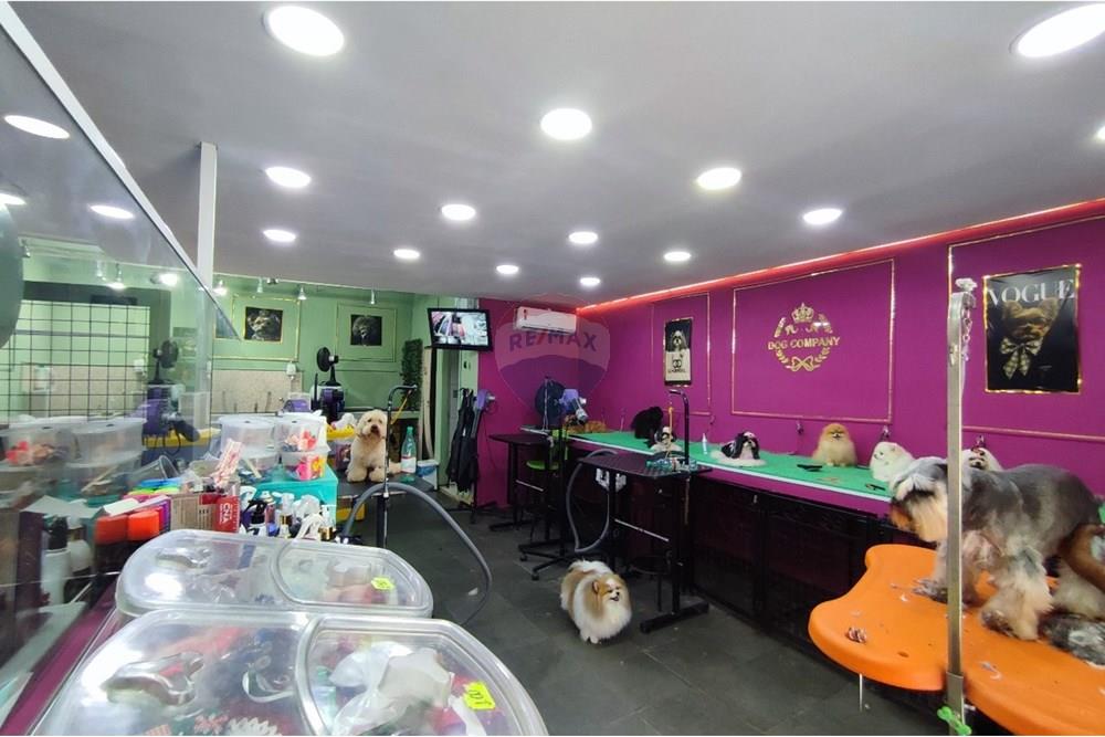 Ponto Comercial/ Loja - Venda - Poços de Caldas , Minas Gerais - IMG-20251102-WA0107.jpg - 870361065-7