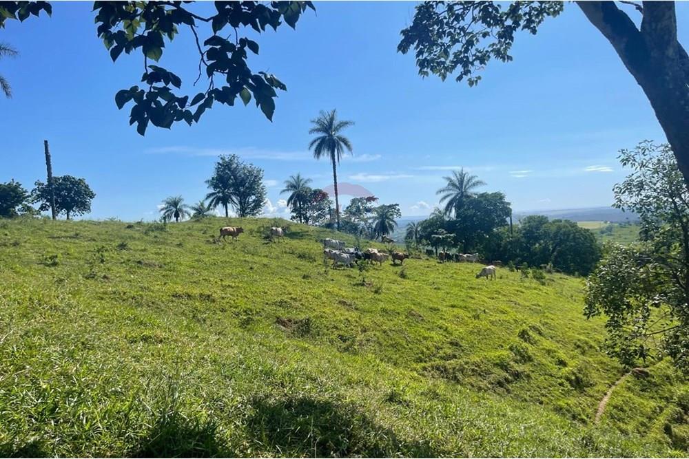 Chácara / Sítio / Fazenda - Venda - Araxá , Minas Gerais - 18.jpg - 870431045-37