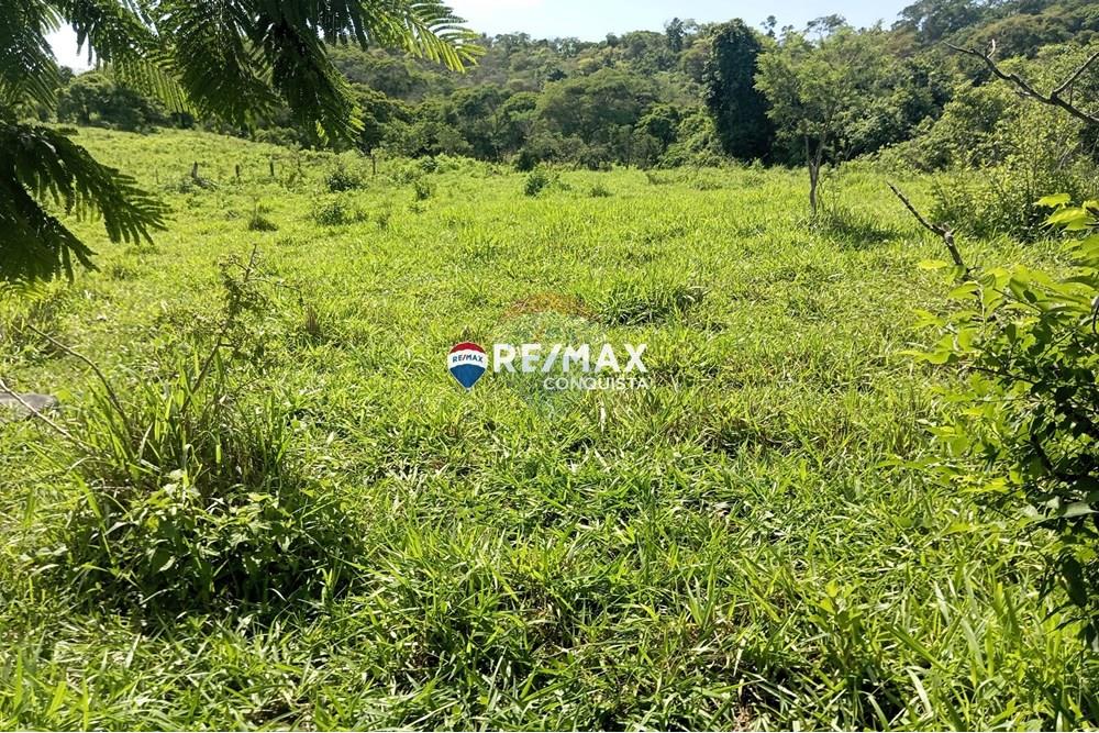 Chácara / Sítio / Fazenda - Venda - Pocrane , Minas Gerais - 5_IMG_20241203_092244_watermark_sex._13122024_135044.jpg - 870451001-114