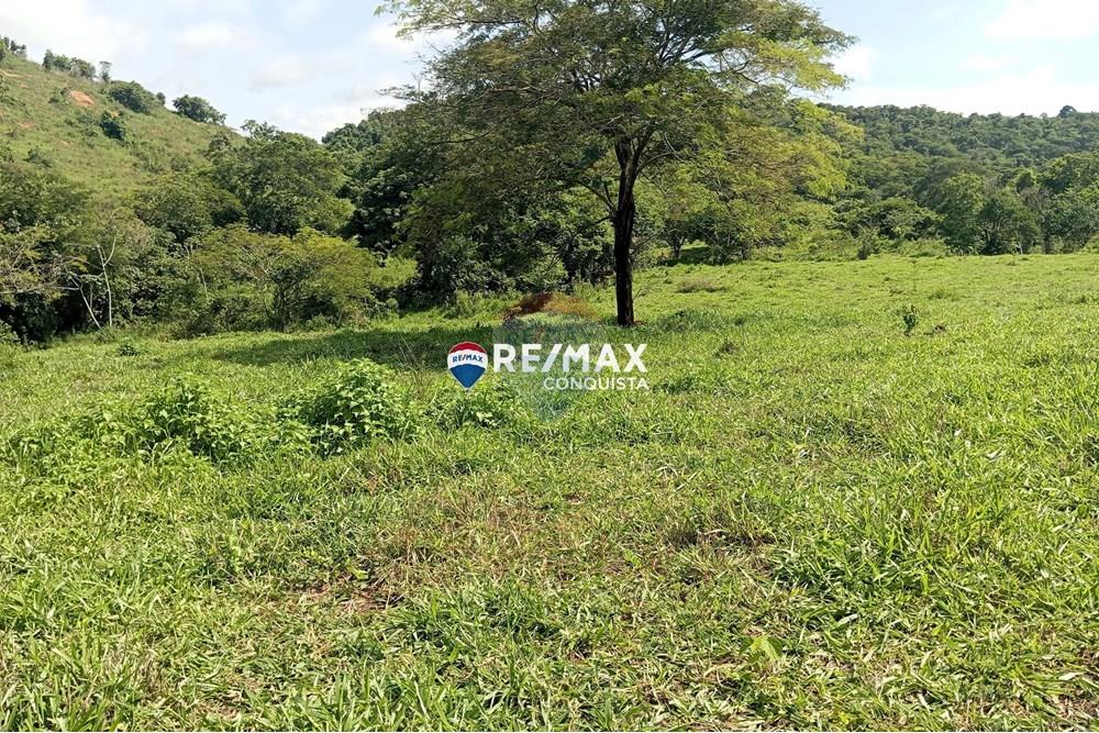 Chácara / Sítio / Fazenda - Venda - Pocrane , Minas Gerais - 6_IMG_20241203_090454_watermark_sex._13122024_135233.jpg - 870451001-114