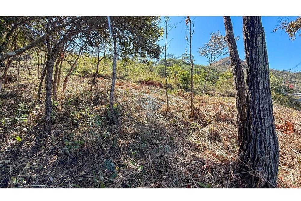 Terreno - Venda - Nova Lima , Minas Gerais - IMG_2088.jpg - 870351059-17